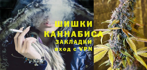 прущие грибы Каменск-Шахтинский