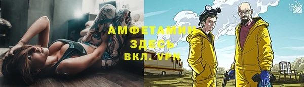 прущие грибы Каменск-Шахтинский