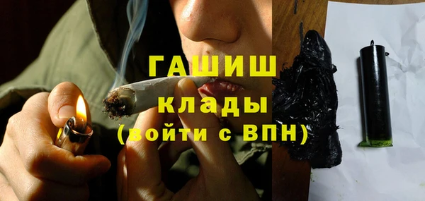 PSILOCYBIN Каменка