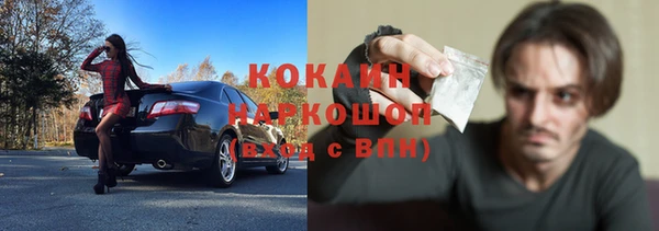 прущие грибы Каменск-Шахтинский
