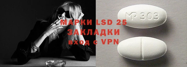 прущие грибы Каменск-Шахтинский