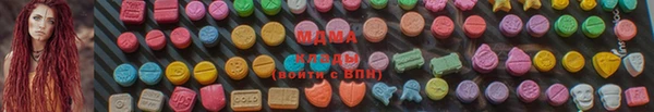PSILOCYBIN Каменка