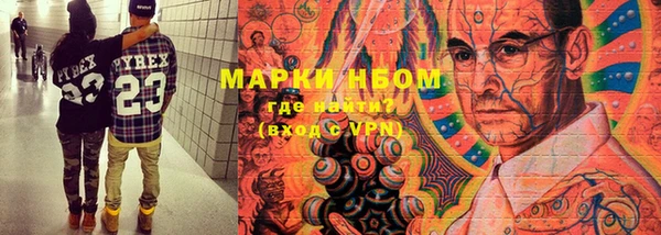 PSILOCYBIN Каменка