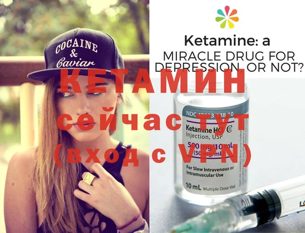 прущие грибы Каменск-Шахтинский