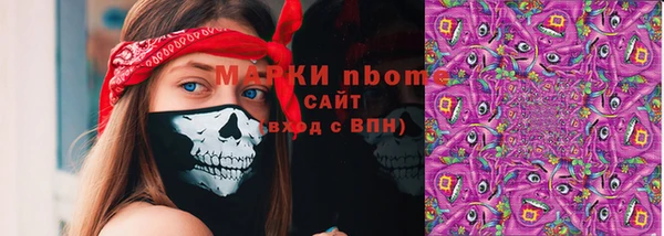 прущие грибы Каменск-Шахтинский