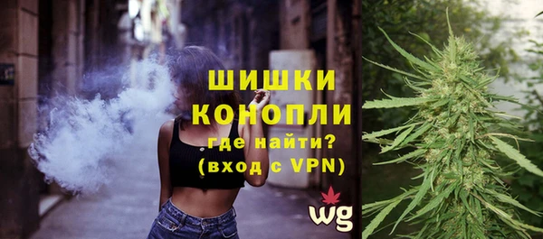 прущие грибы Каменск-Шахтинский