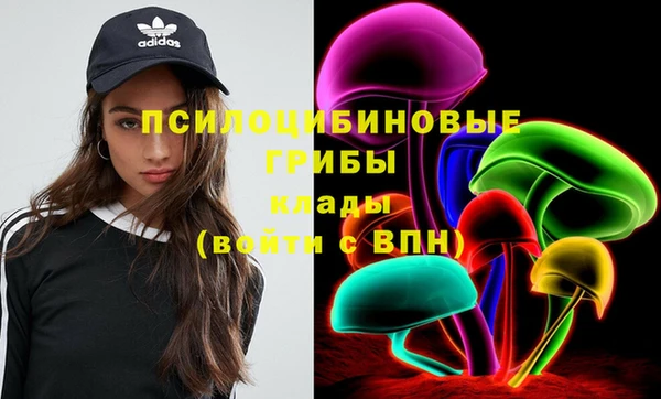 PSILOCYBIN Каменка