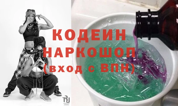 PSILOCYBIN Каменка