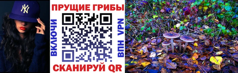 Купить закладки  Добрянка  Галлюциногенные грибы мухоморы 