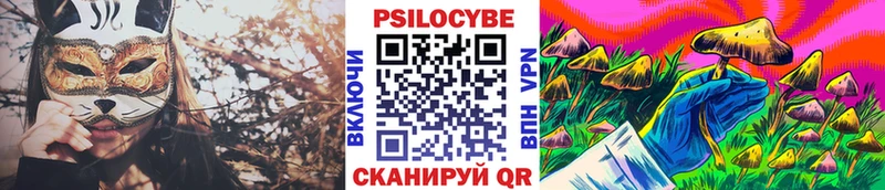 Псилоцибиновые грибы мицелий Добрянка